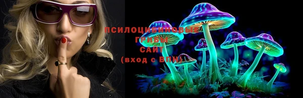 дмт Алексин