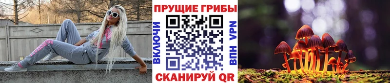 Галлюциногенные грибы Magic Shrooms  кракен ONION  Бирюсинск 