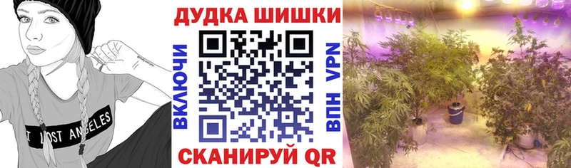 это наркотические препараты  купить закладку  Бирюсинск  МАРИХУАНА LSD WEED 